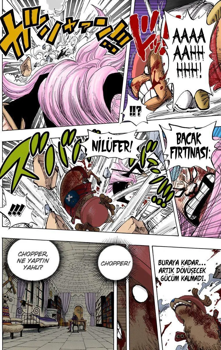 One Piece [Renkli] - Sayfa 9