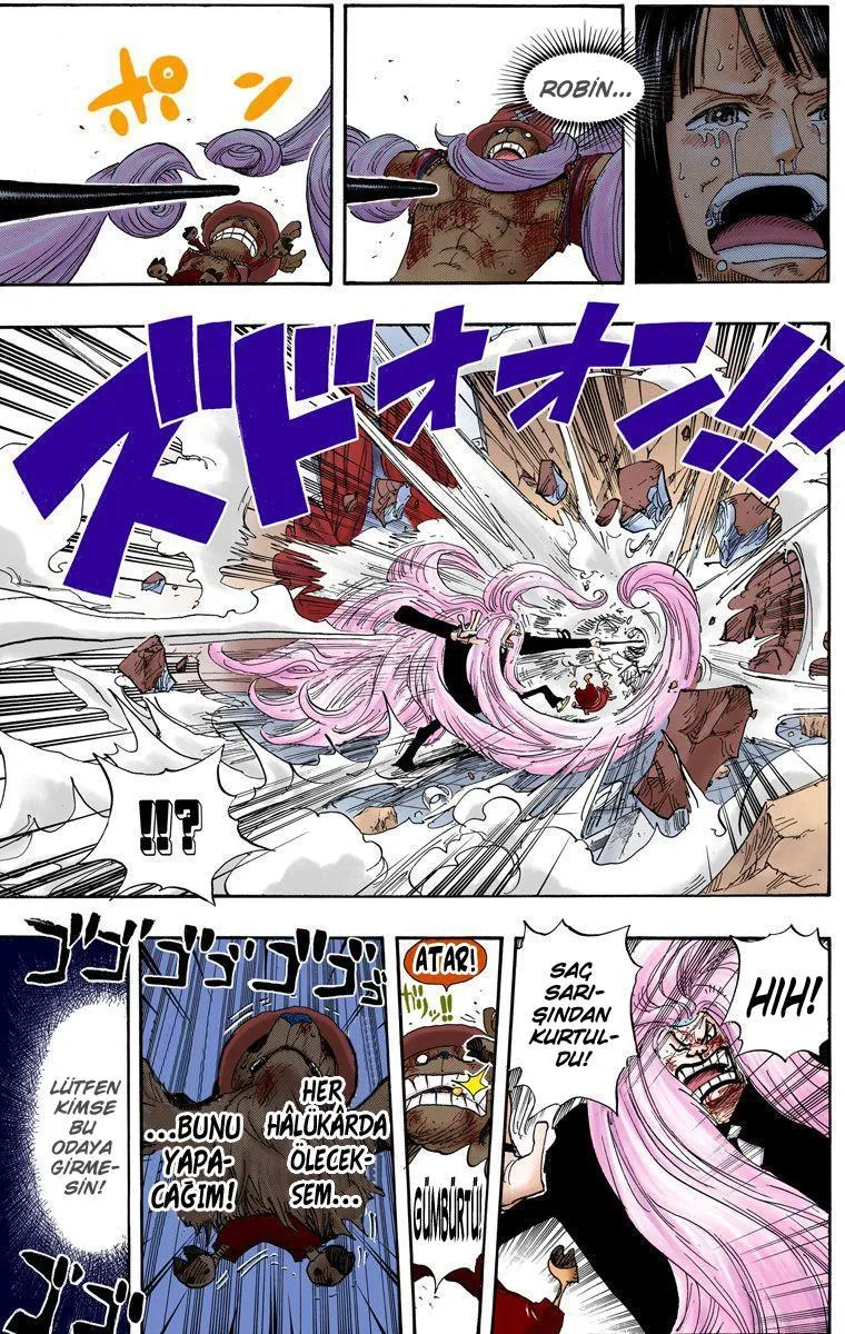 One Piece [Renkli] - Sayfa 12