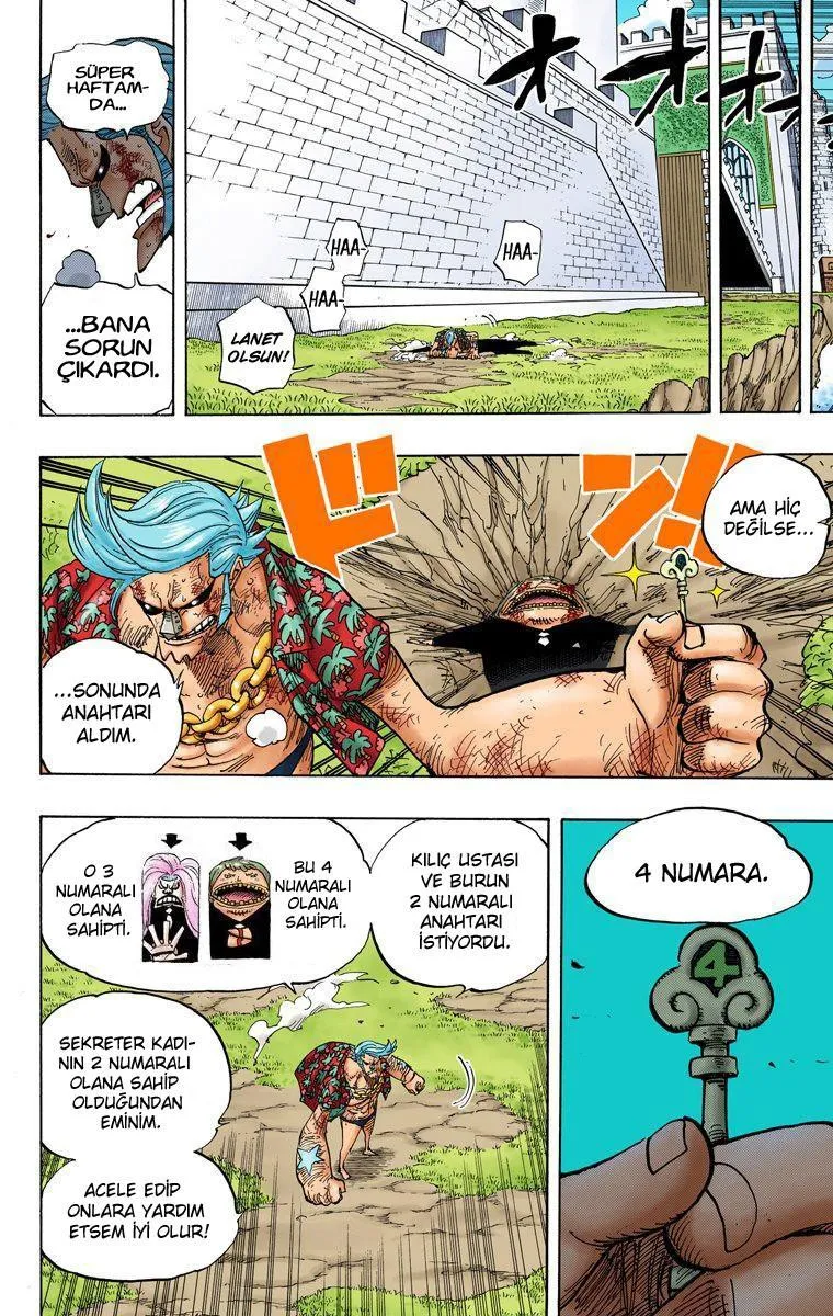 One Piece [Renkli] - Sayfa 14