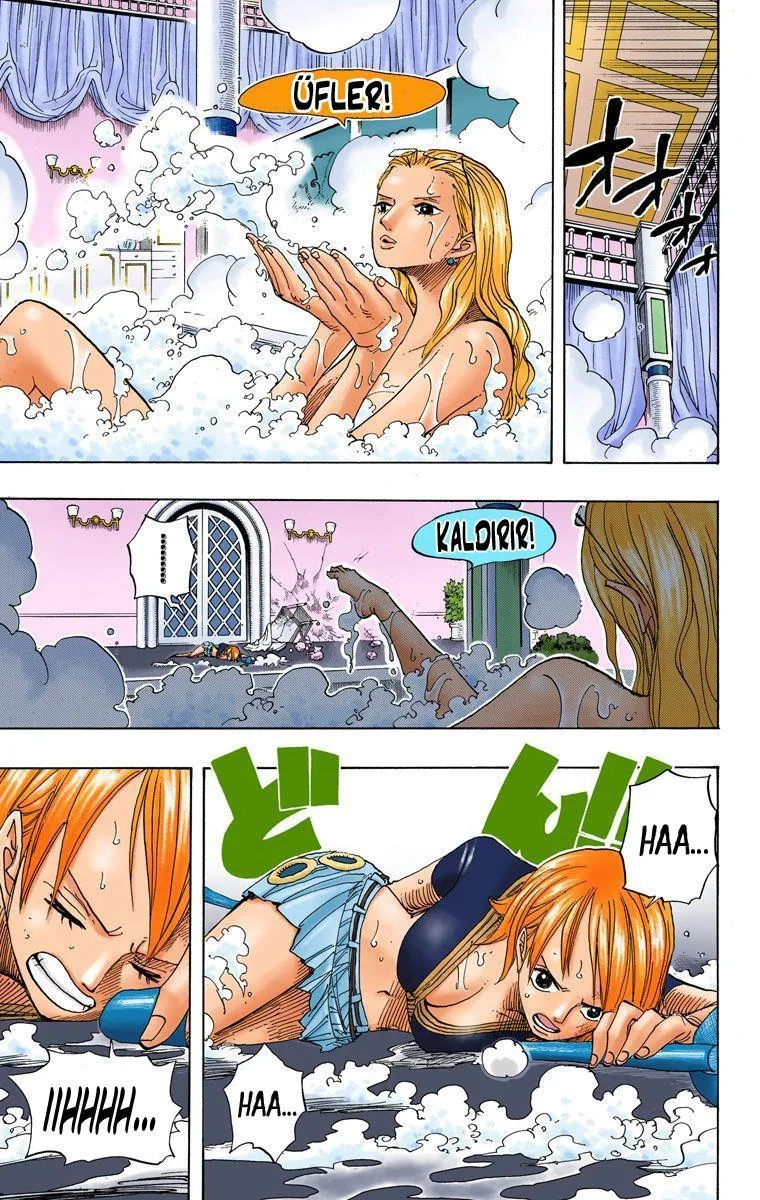 One Piece [Renkli] - Sayfa 15