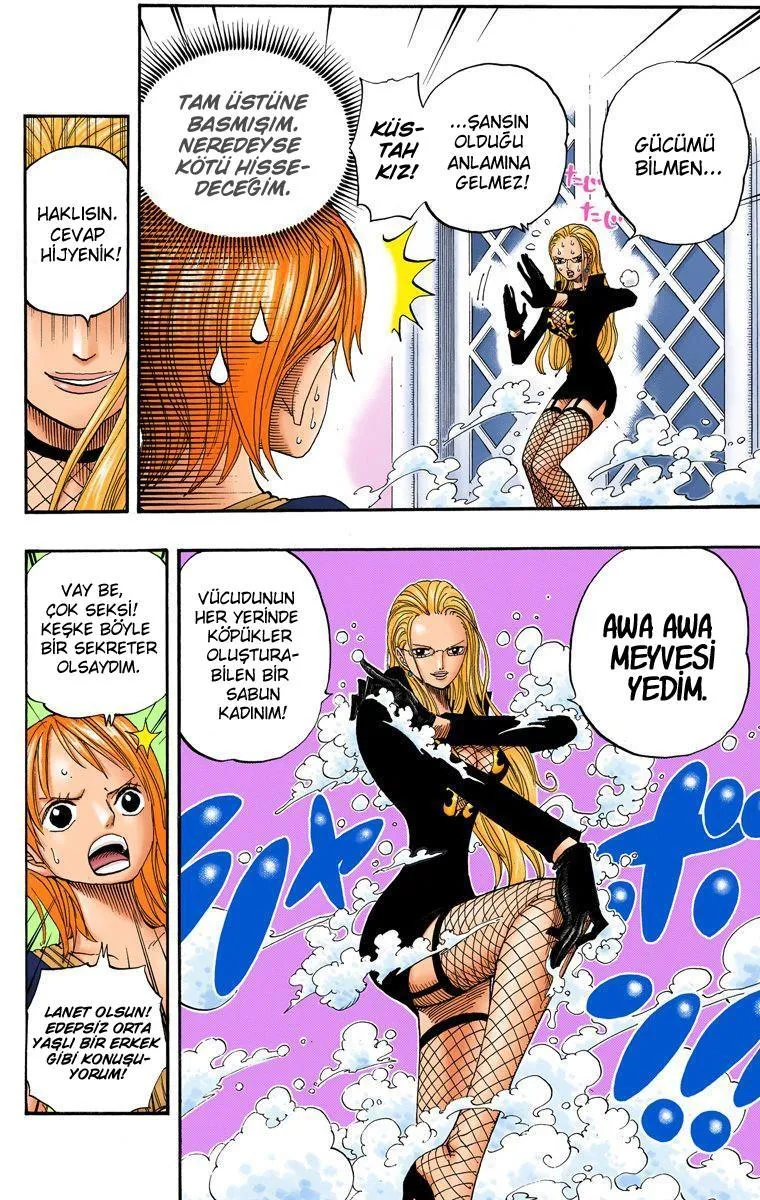 One Piece [Renkli] - Sayfa 5