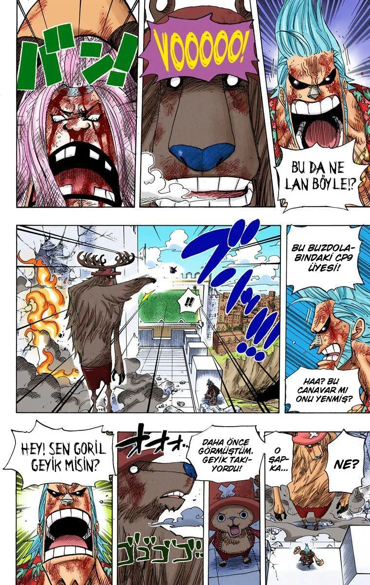 One Piece [Renkli] - Sayfa 14