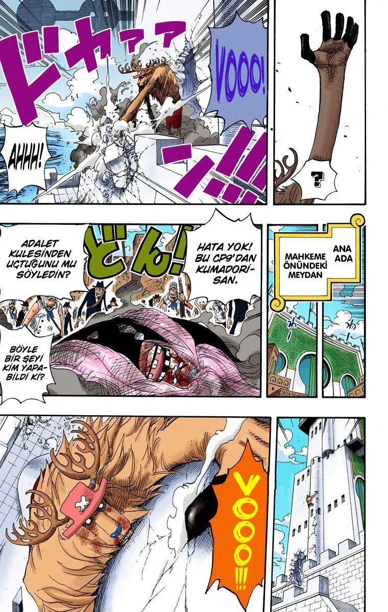 One Piece [Renkli] - Sayfa 15