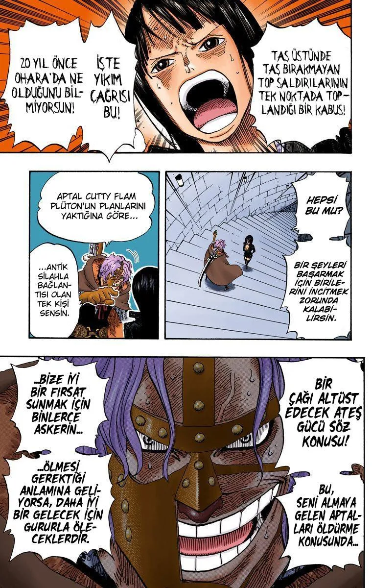 One Piece [Renkli] - Sayfa 10