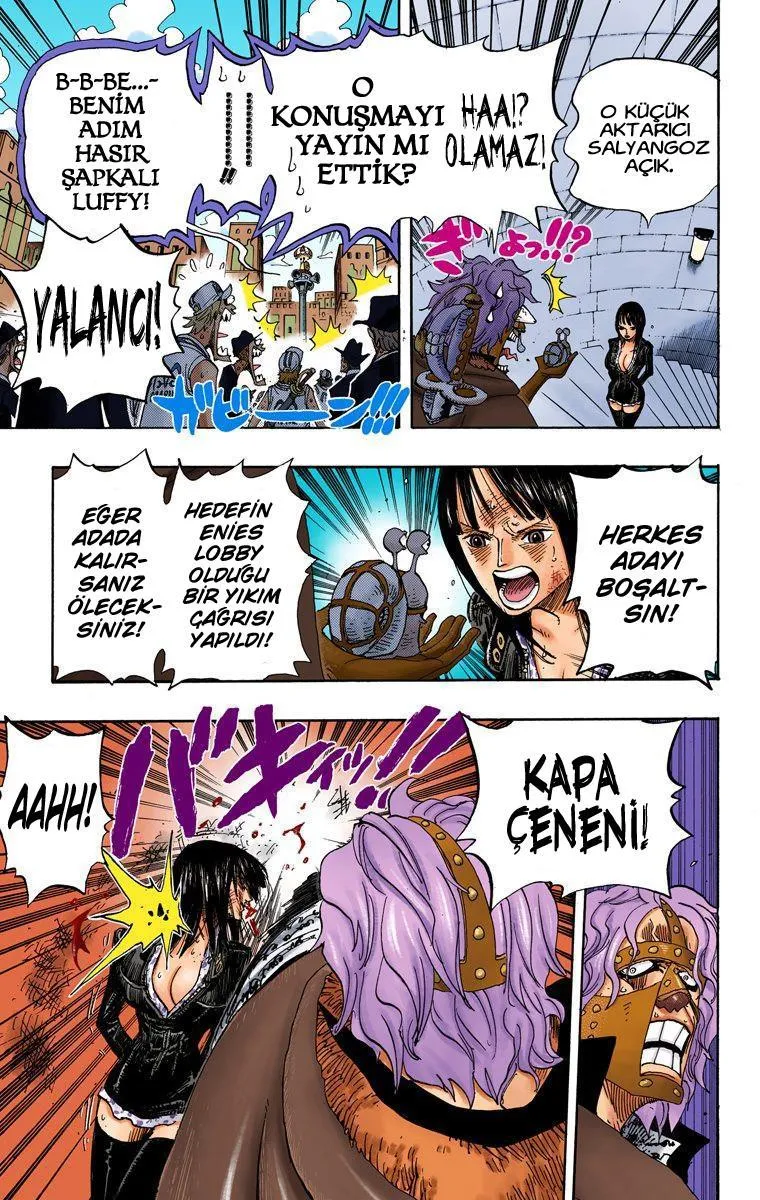 One Piece [Renkli] - Sayfa 12