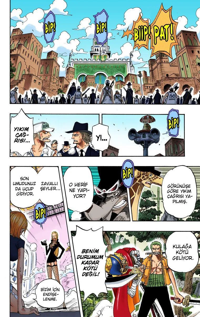 One Piece [Renkli] - Sayfa 13