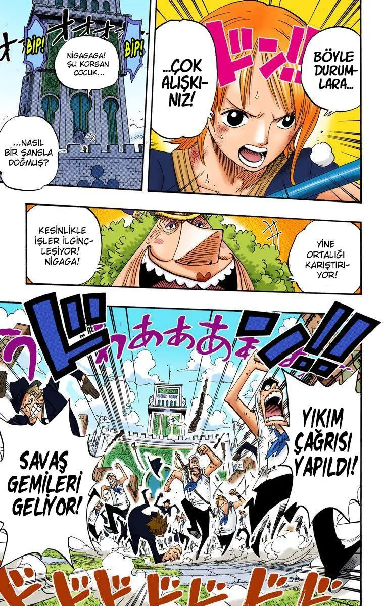 One Piece [Renkli] - Sayfa 14