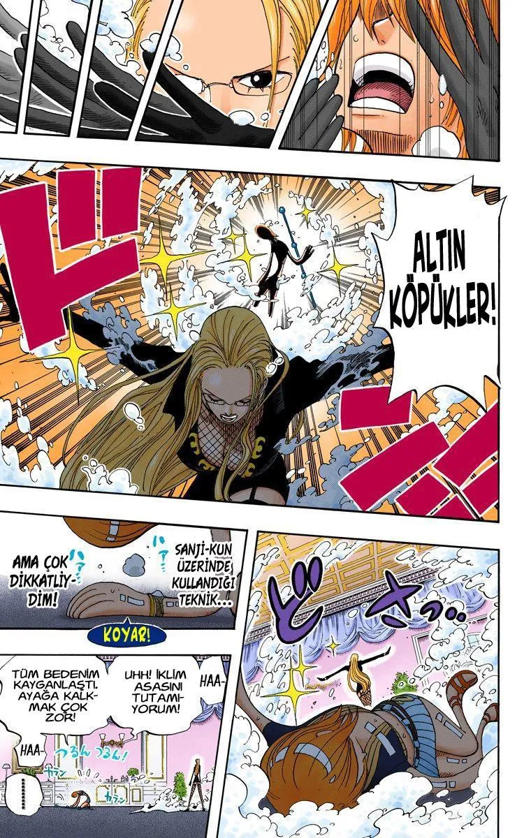 One Piece [Renkli] - Sayfa 15