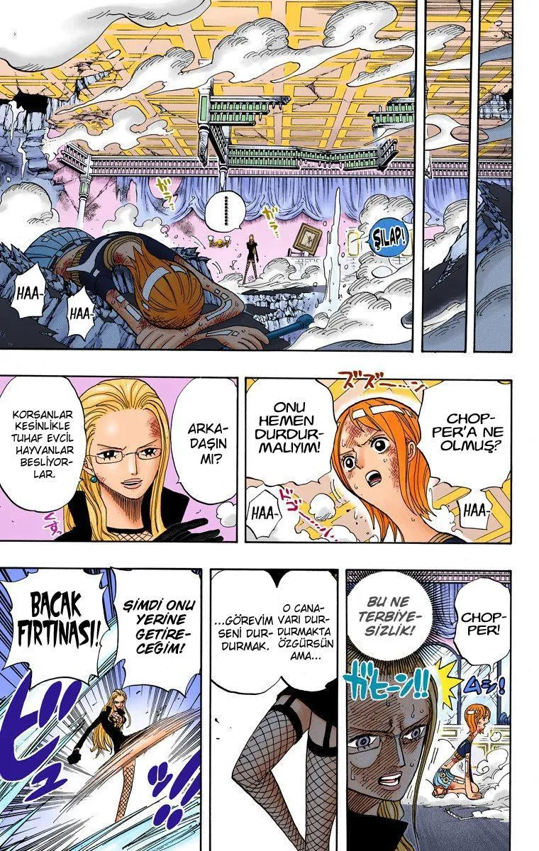 One Piece [Renkli] - Sayfa 8