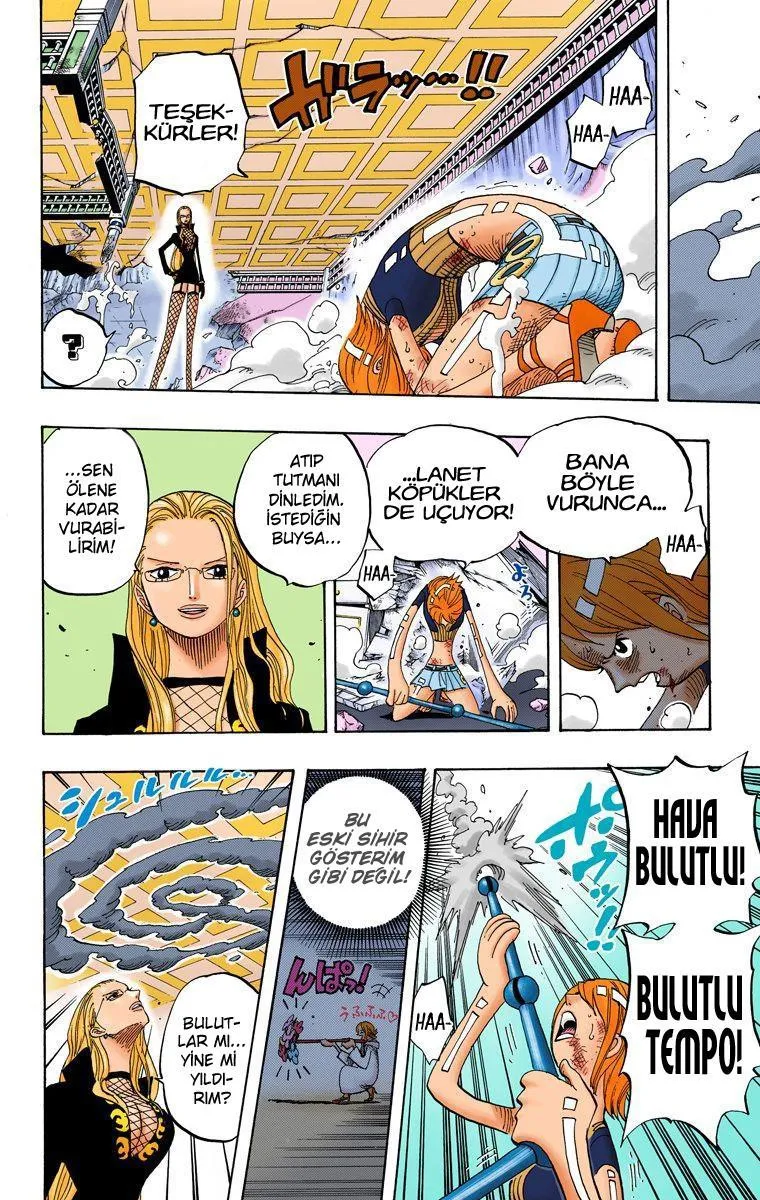 One Piece [Renkli] - Sayfa 13