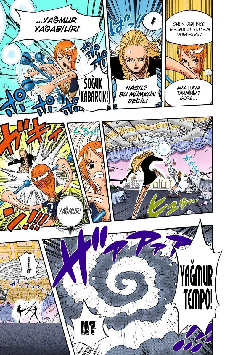 One Piece [Renkli] - Sayfa 14