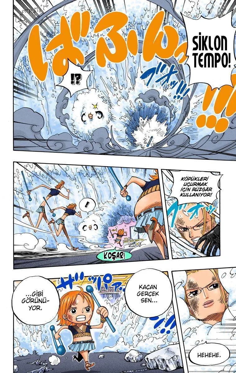 One Piece [Renkli] - Sayfa 9