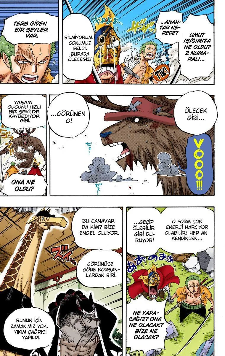 One Piece [Renkli] - Sayfa 15