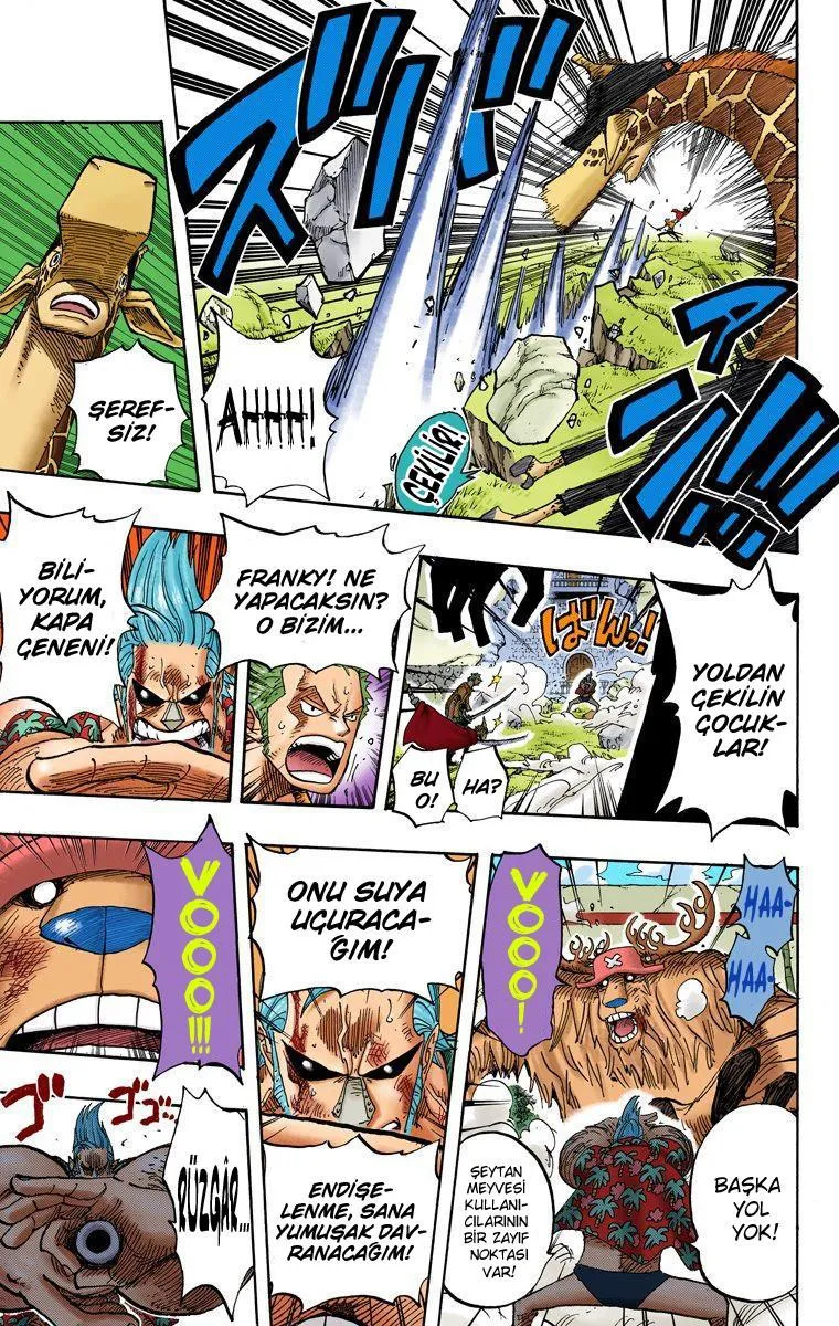 One Piece [Renkli] - Sayfa 17