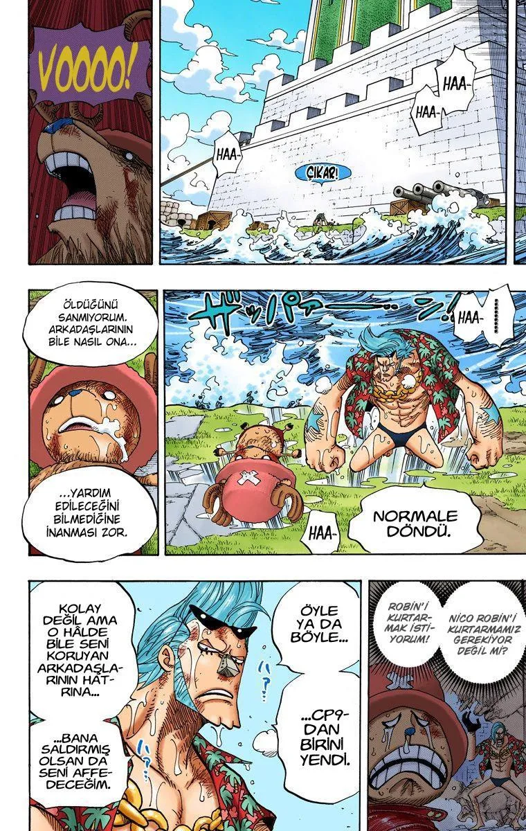 One Piece [Renkli] - Sayfa 5