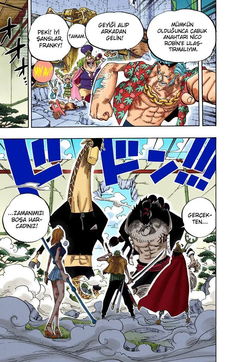 One Piece [Renkli] - Sayfa 8