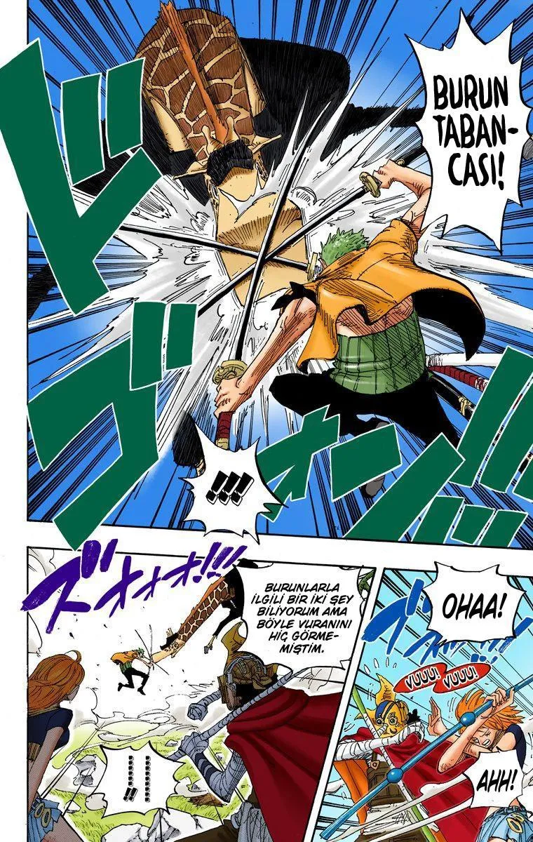 One Piece [Renkli] - Sayfa 11