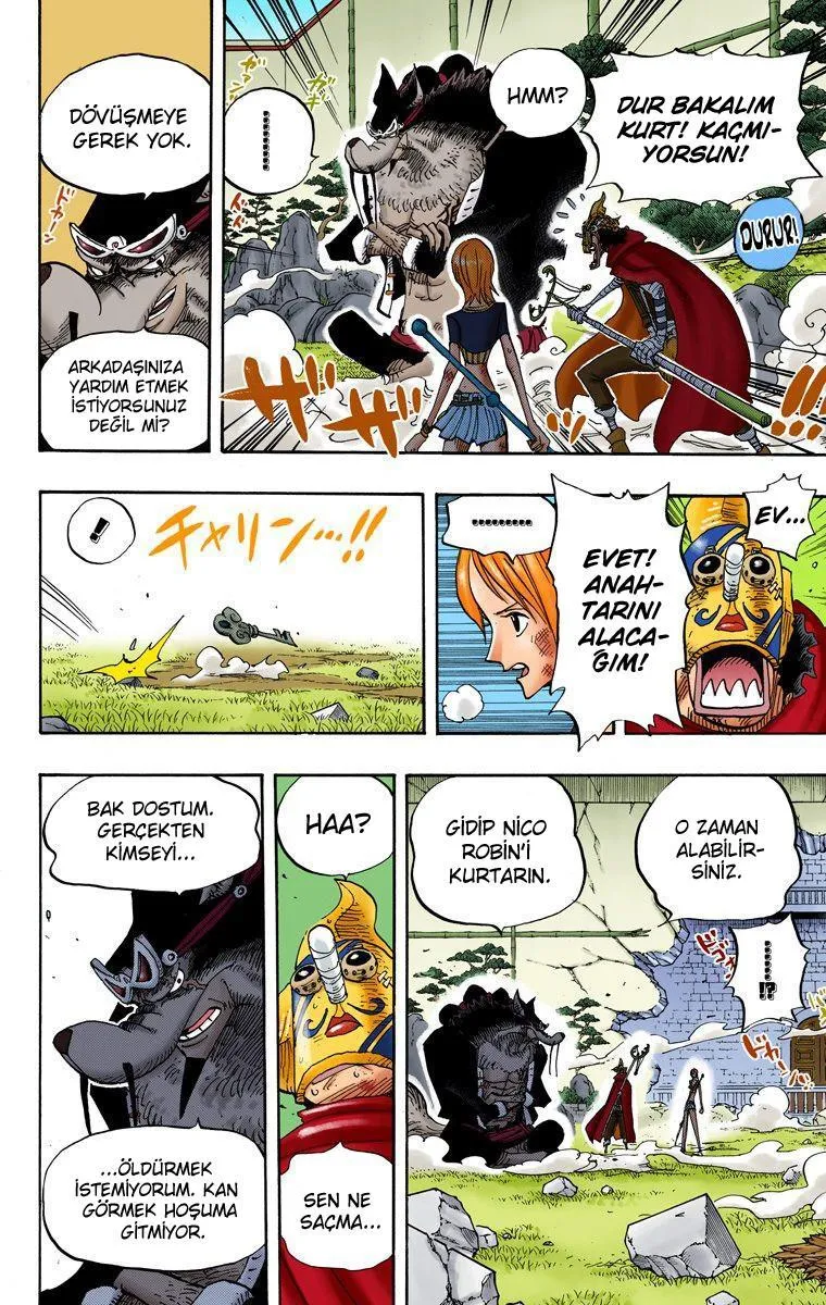 One Piece [Renkli] - Sayfa 13