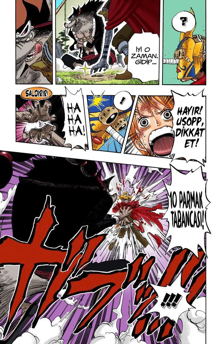 One Piece [Renkli] - Sayfa 14