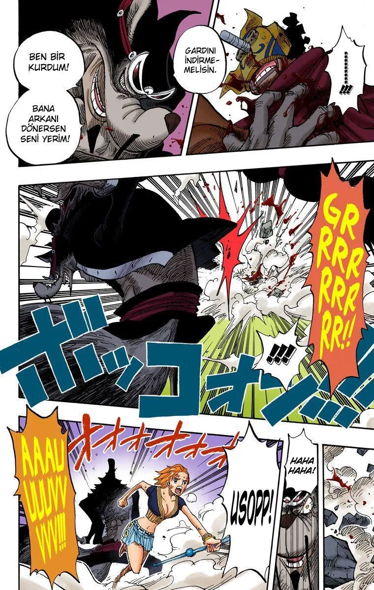 One Piece [Renkli] - Sayfa 15