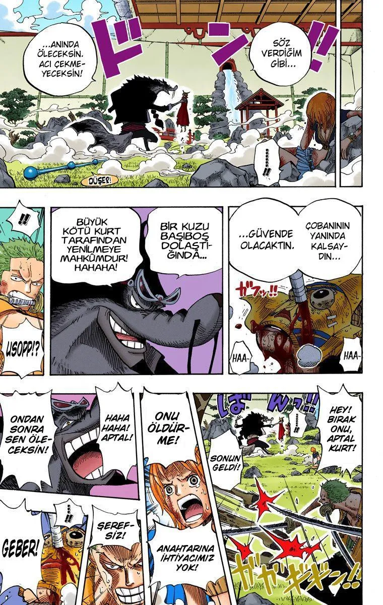 One Piece [Renkli] - Sayfa 18