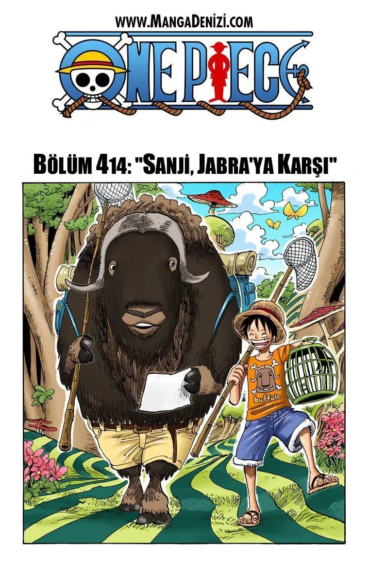 One Piece [Renkli] - Sayfa 2