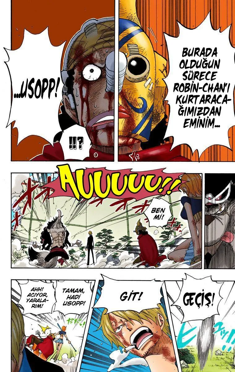 One Piece [Renkli] - Sayfa 10