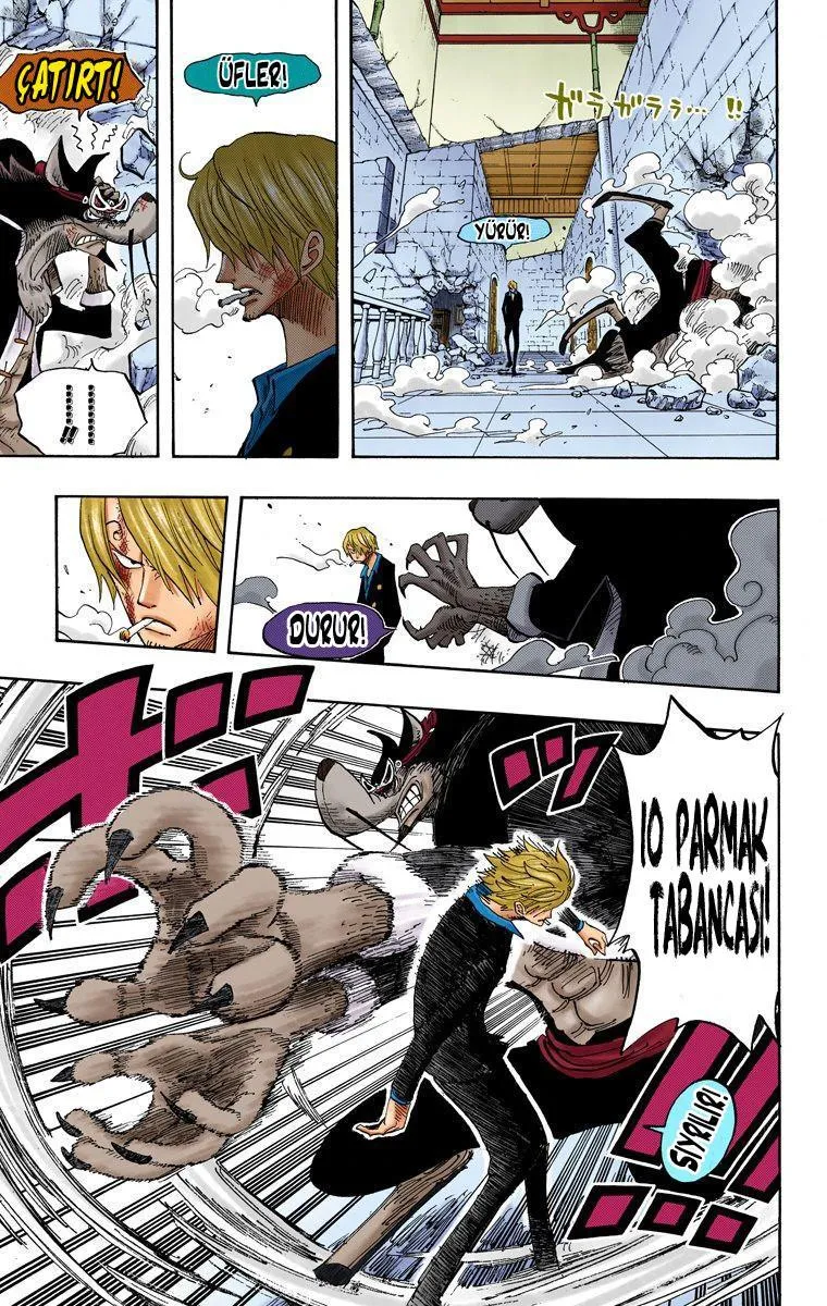 One Piece [Renkli] - Sayfa 13