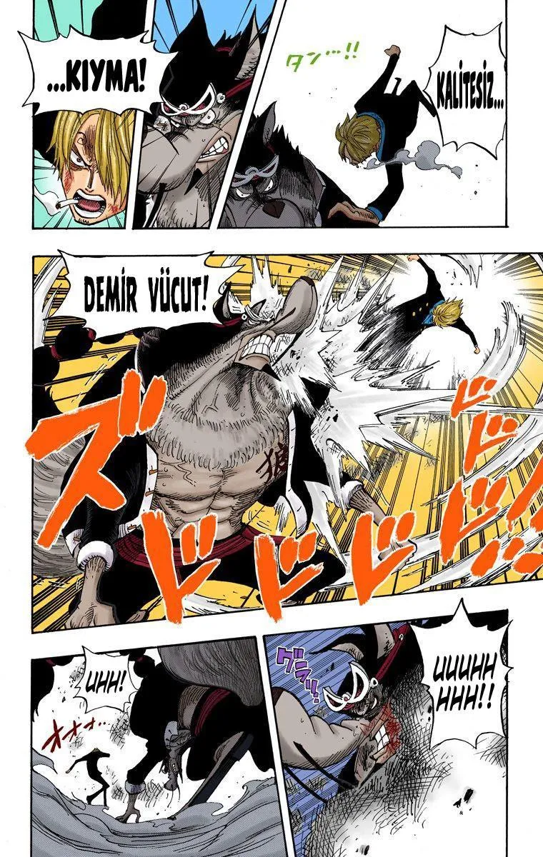 One Piece [Renkli] - Sayfa 14