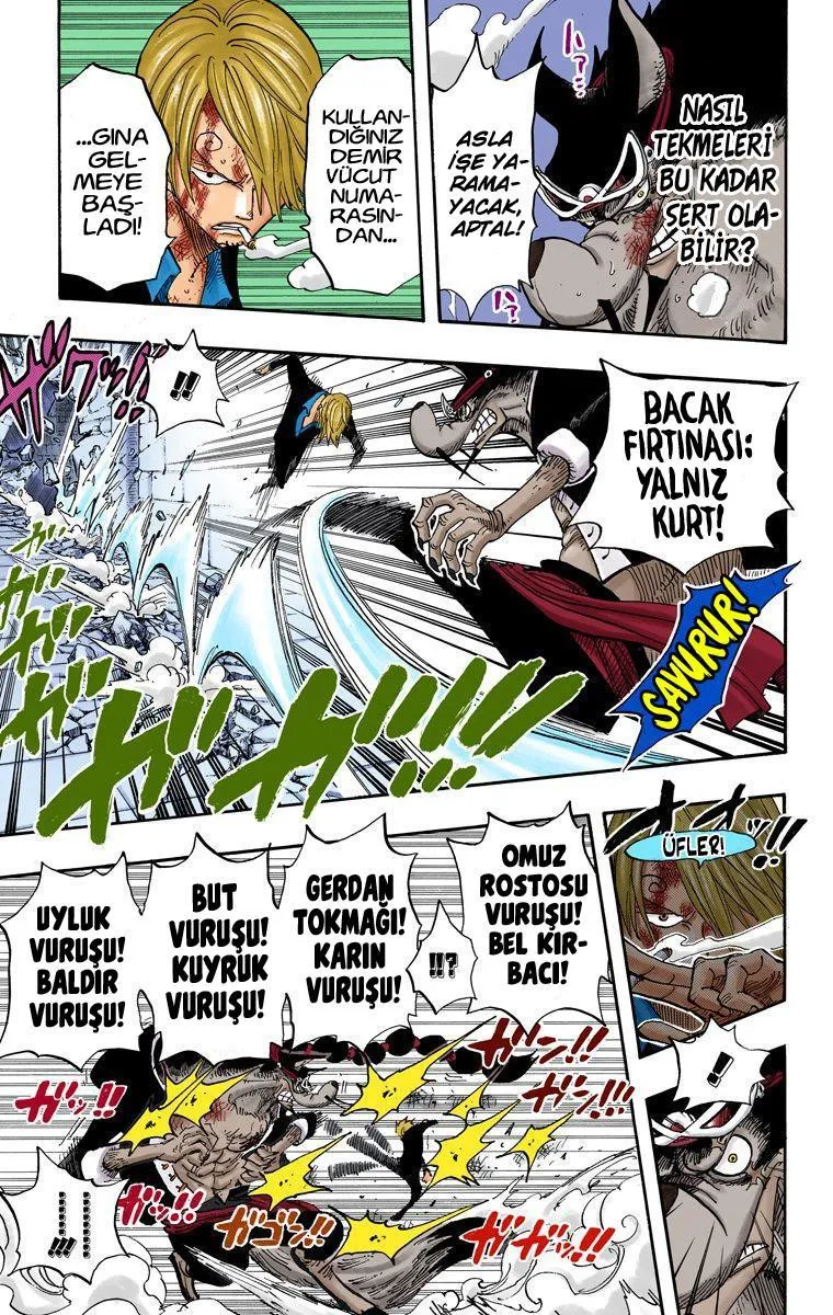 One Piece [Renkli] - Sayfa 15