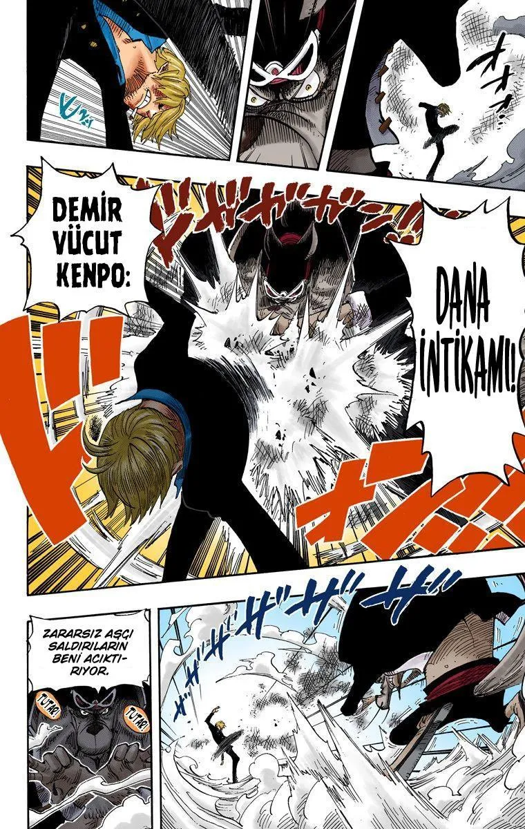 One Piece [Renkli] - Sayfa 16