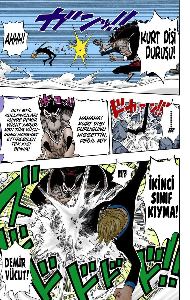 One Piece [Renkli] - Sayfa 17