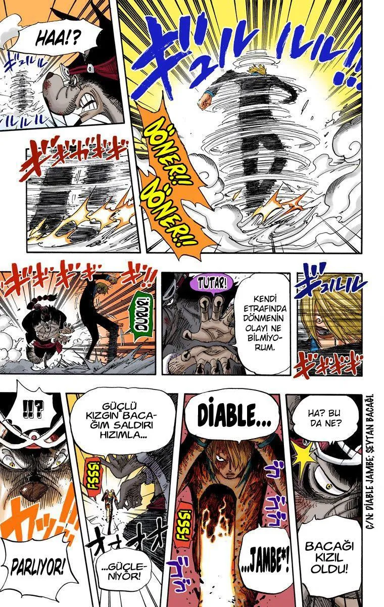 One Piece [Renkli] - Sayfa 13