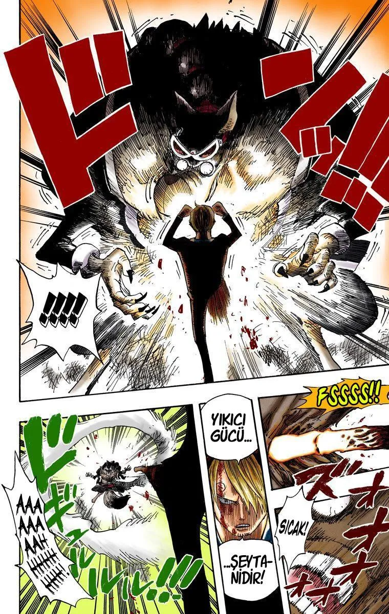 One Piece [Renkli] - Sayfa 14