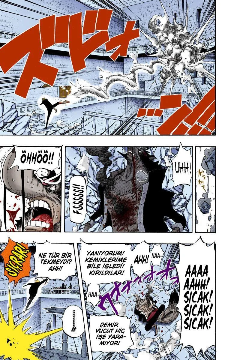 One Piece [Renkli] - Sayfa 15