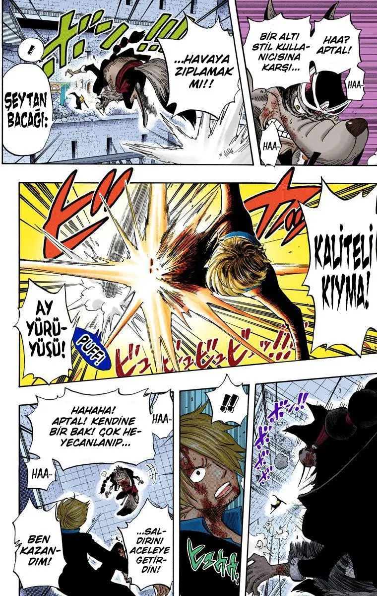 One Piece [Renkli] - Sayfa 16