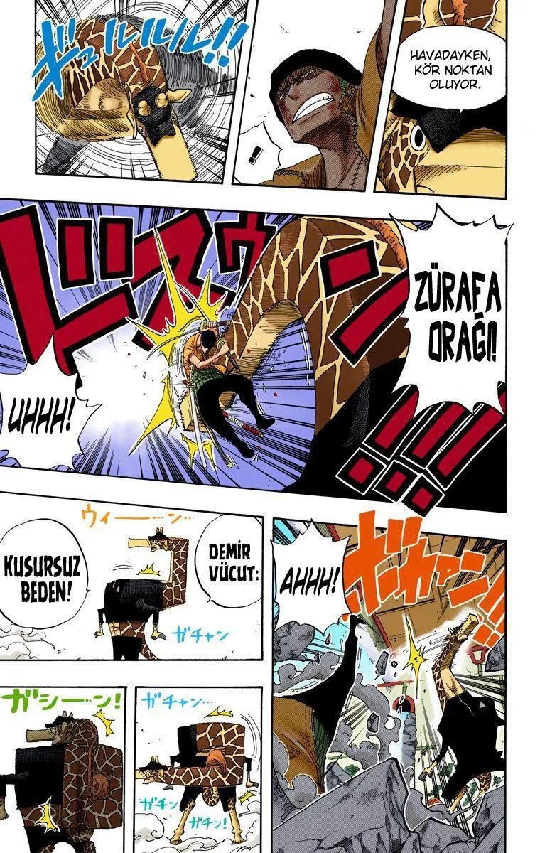 One Piece [Renkli] - Sayfa 12