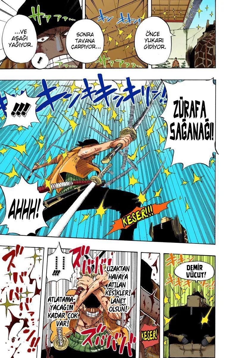 One Piece [Renkli] - Sayfa 14