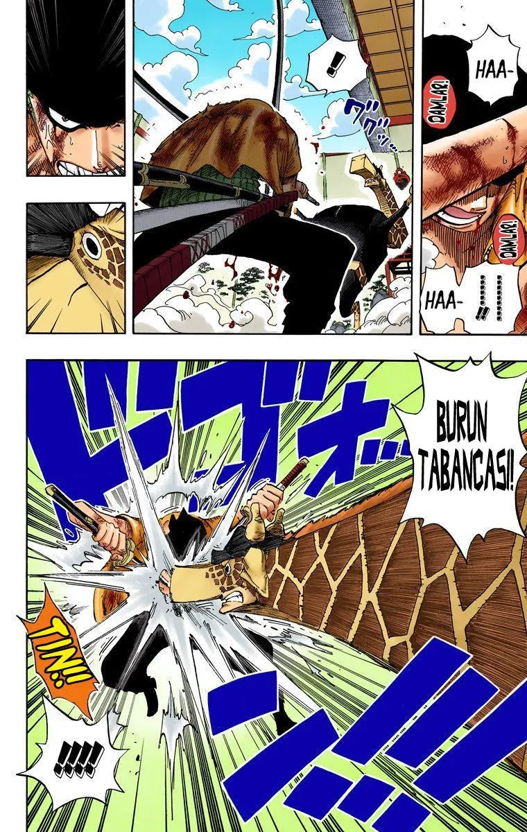 One Piece [Renkli] - Sayfa 15