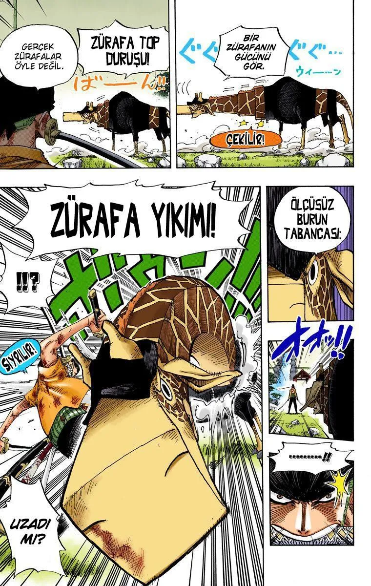 One Piece [Renkli] - Sayfa 4