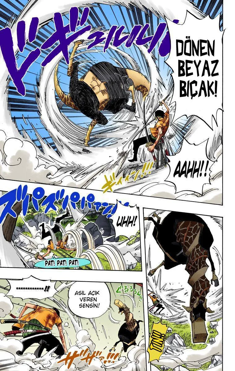 One Piece [Renkli] - Sayfa 6