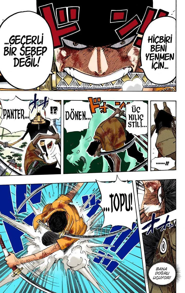 One Piece [Renkli] - Sayfa 12