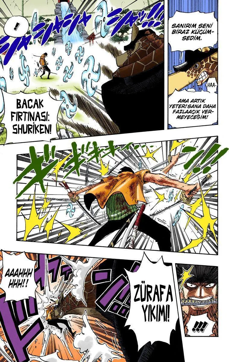 One Piece [Renkli] - Sayfa 14