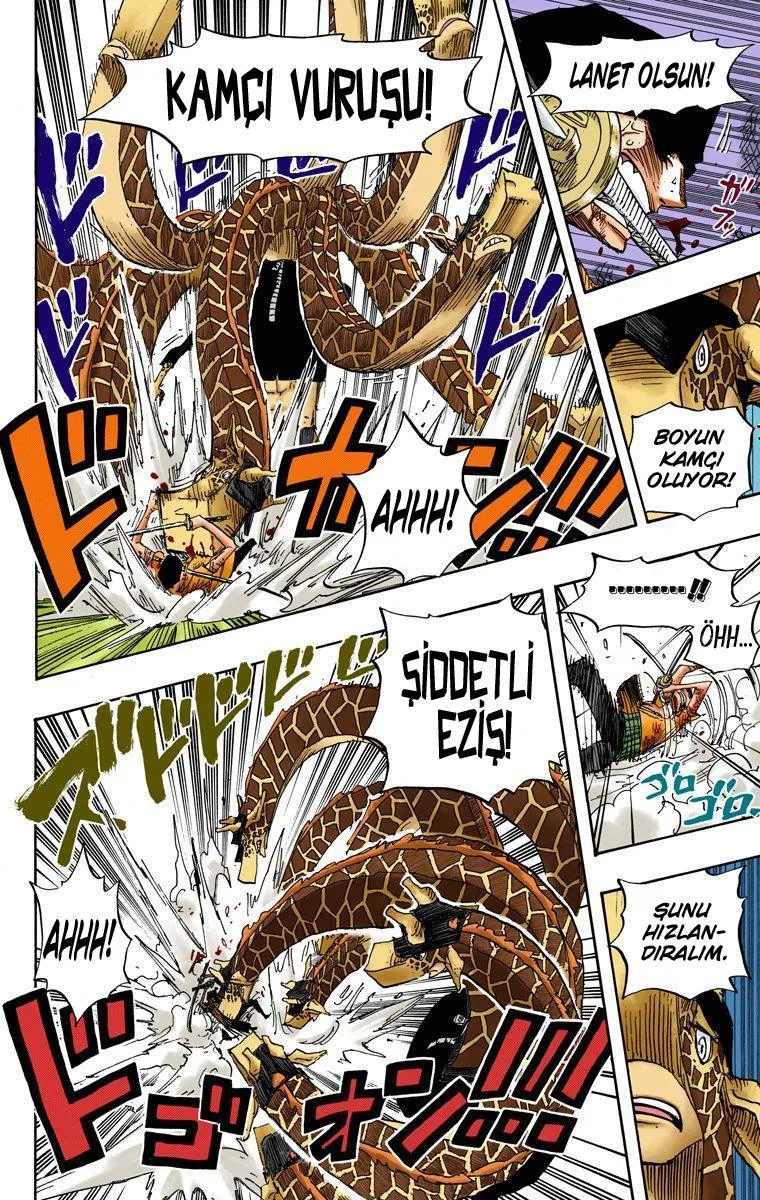 One Piece [Renkli] - Sayfa 15