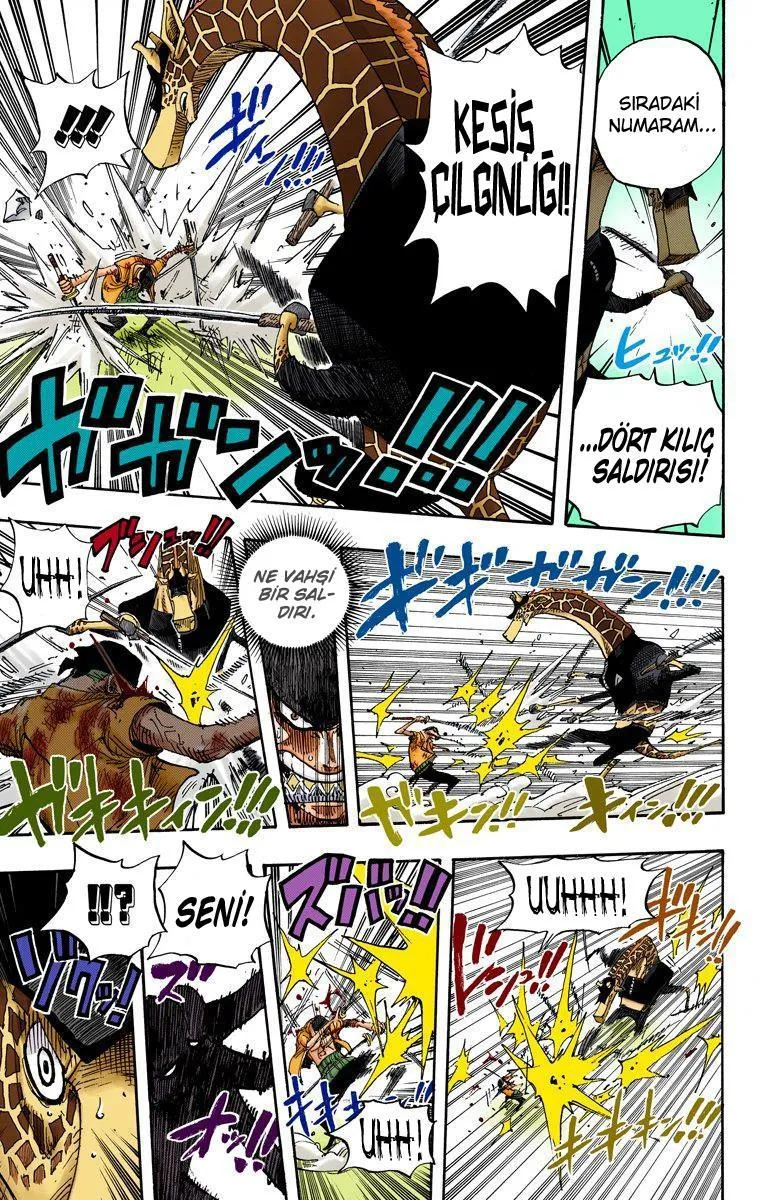 One Piece [Renkli] - Sayfa 16