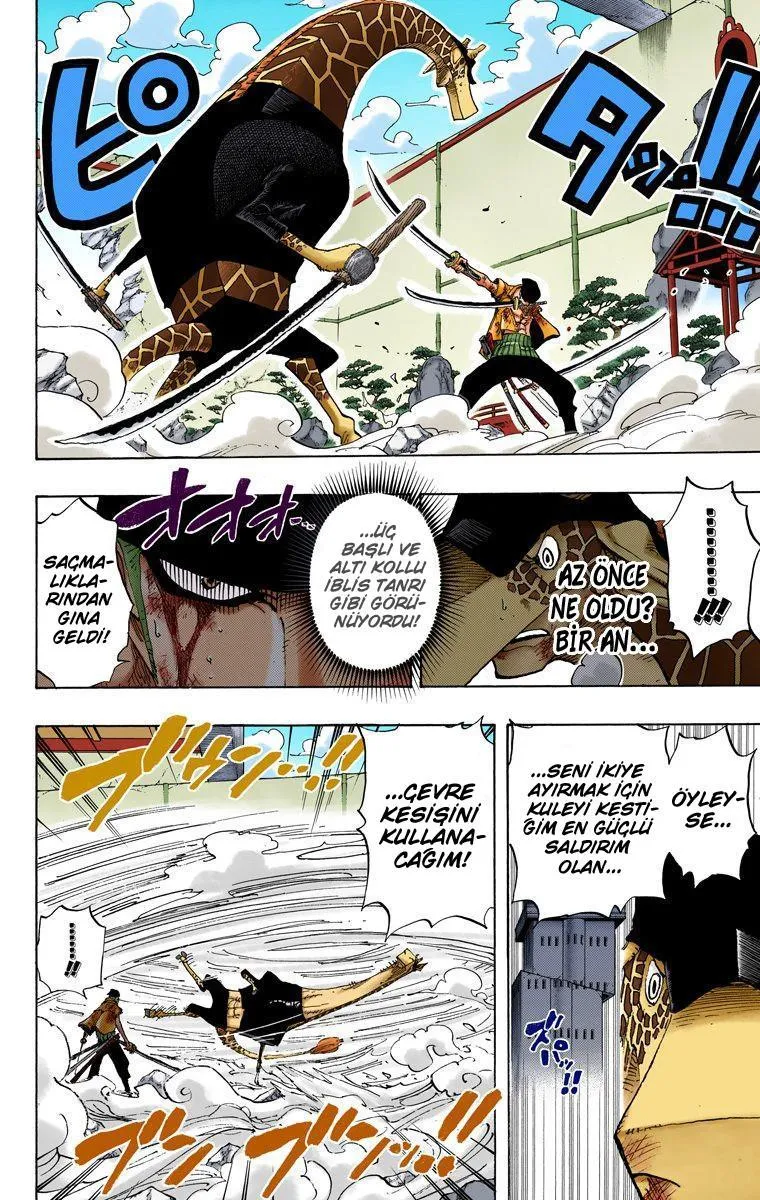 One Piece [Renkli] - Sayfa 17