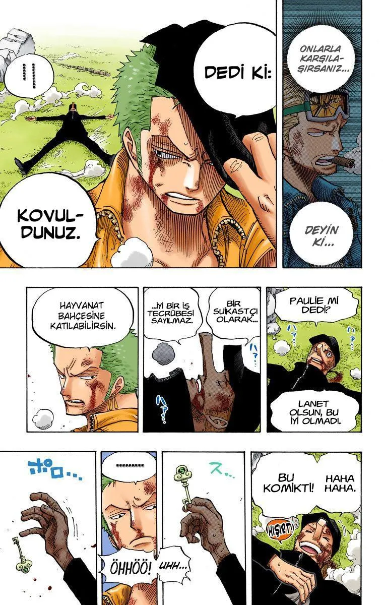 One Piece [Renkli] - Sayfa 4