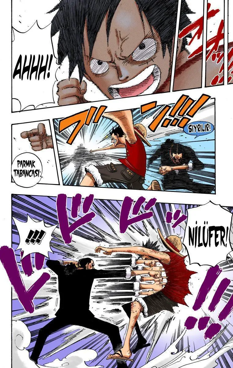 One Piece [Renkli] - Sayfa 11