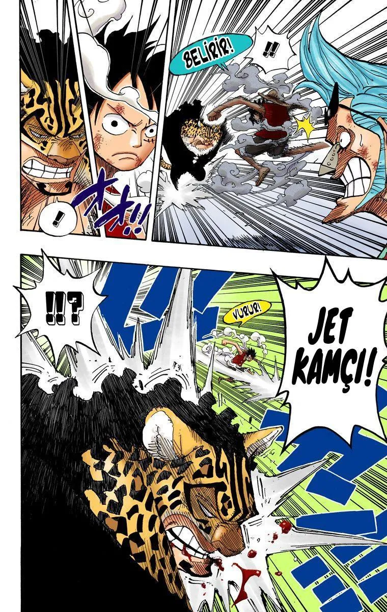 One Piece [Renkli] - Sayfa 17