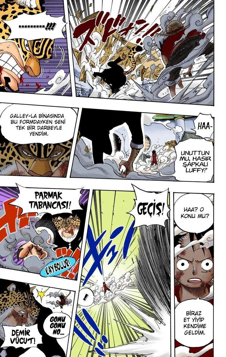 One Piece [Renkli] - Sayfa 18